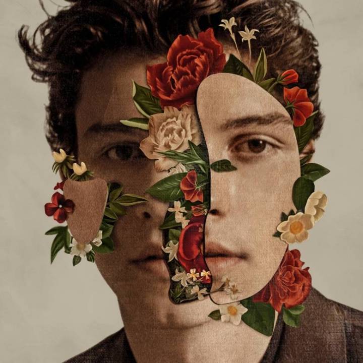 shawn-mendes